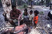 Aborigine Badi people, salt water tribe realizing the Irrigol (boomerang) on boni tree, specific tree for the manufacture of the boomerang from the we...