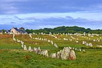 Carnac, Megalithic stones, Megalitic alignments, Morbihan, Bretagne, Brittany, France, Europe.