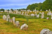 Carnac, Megalithic stones, Megalitic alignments, Morbihan, Bretagne, Brittany, France, Europe.