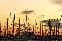 Masts of boats during a sunset in the port of Alicante, Spain.