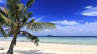 Tropical beach with palm trees in Phi Phi Don Island in Krabi, Thailand.