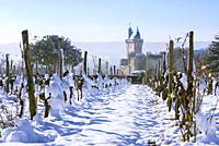 Vineyard and the Clock Tower of the Royal Fortress of Chinon in Winter. Indre-et-Loire, Central Region, Loire Valley, France, Europe.