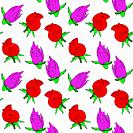 buds of a red and pink rose, a repeating seamless pattern on a white background