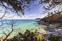 The mediterranean vegetation frames the turquoise sea of Cala Monte Turno Castiadas Cagliari Sardinia Italy Europe.
