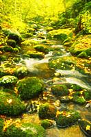 Impressionist art of autumn along the Roaring Fork Creek, Great Smoky Mountains National Park, Tennessee, United States.
