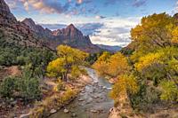 Watchman at Sunrise in fall at Zion National Park Utah.