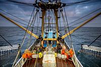 Fishermen working on a Dutch fishing boat. They are using the electric pulse fishing method. North Sea.
