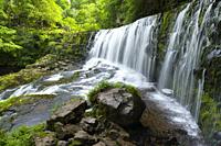Sgwd Isaf Clun-gwyn Lower (Fall of the White Meadow Fall) waterfall on the Afon Mellte river in the Brecon Beacons National Park near Ystradfellte, Po...