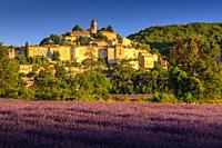 Lavender fields near Banon Forcalquier Alpes-de-Haute-Provence Provence-Alpes-Cote d'Azur France.