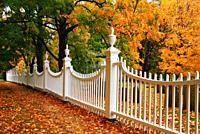 Autumn leaves are framed by a white picket fence.