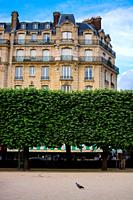 Haussmannian building facade in front of the Square Jean XXIII, in a sunny day. île de la Cité, Paris, France.