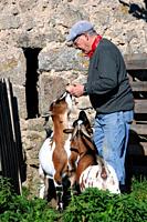 75-year-old man and his two goats, La Bessière, Campuac, North Aveyron, Midi-Pyrénées, Occitanie, France.