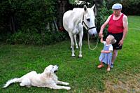 Grandfather and his horse with a 3-year- old girl and a golden retriever dog.