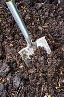 Close-up of a shovel digging in good quality garden soil.