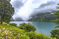 Lake Lovatnet with fog, Norway, flowers and the shore.