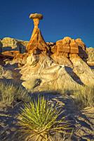 Desert bush anchors the scene of the iconic toadstool hoodoo in Paria Rimrocks Toadstool Hoodoos, Grand Staircase-Escalante National Monument, Utah, U...
