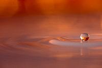 Copper colored water drop floting above the surface of the water