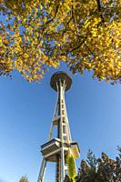 Seattle Washington, USA. Needle observation platform.