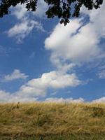 Horizon with dry grass and clouds in sky. Taken in the Limburg province of the Netherlands.