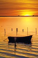 Boat at dawn. Delta del Ebro, Tarragona Province, Catalonia, Spain.Province, Catalonia, Spain.