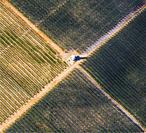 Farmlands. Caspe, Zaragoza province, Aragon, Spain