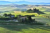 VAL D'ORCIA, ITALY - JUNE 12, 2017: Landscape view of Val d'Orcia, Tuscany, Italy. UNESCO World Heritage Site.