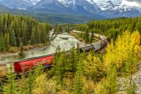 Freight Train on Morant's Curve, Banff National Park, Alberta, Canada.