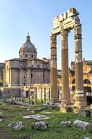 Early morning, looking across The Roman, Forum of Caeser, an extension of the Forum Romanum, with the temple of Venus Genetrix in the foreground, Rome...