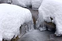 Icicles by forest stream, close up. Baden Wuerttemberg (Baden-Wurttemberg), Germany, Europe.