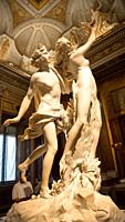 ROME, ITALY - AUGUST 24, 2018: Gian Lorenzo Bernini masterpiece, Apollo e Dafne, dated 1625.