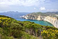 Ponza, Pontine Islands, Latina district, Latium, Lazio, Italy, Europe, National Park of Circeo, Chiaia di Luna beach.