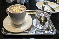 Cup of cappuccino, Museum of History of Art cafeteria, Vienna.
