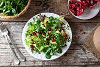 Spring salad with wild chickweed, nut lettuce and pomegranate.