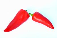 Red long pepper on white bacground.