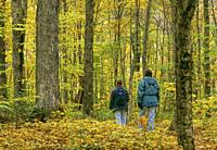 Two young people walking along a maple trees forest trail in autumn, Frontenac National Park; Québec, Canada.