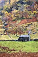 Alisongrass Hoghouse near Stonetwaite in the Lake District National Park.