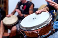musicians playing Bongo drums