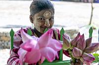 Myanmar (formerly Burma). Kayin State (Karen State). Hpa An. Saleswoman lotus flowers.