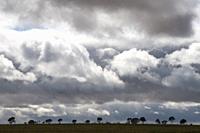 Squally skies in the Wimmera, western Victoria, Australia.