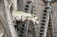 The famous gargoyles of Notre Dame de Paris, a gothic architectural feature used to divert rain water from the roof and convey it away from the buildi...