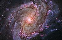 OUTER SPACE -- 09 Jan 2014 -- The vibrant magentas and blues in this Hubble Space Telescope composite image of the barred spiral galaxy M83 reveal tha...