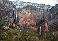 A heavy rainstorm produces ephemeral waterfalls at Zion National Park,Utah.