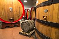 Oak barrels for aging of alpine liquor Amaro Braulio, Bormio, Sondrio province, Valtellina, Lombardy, Italy.