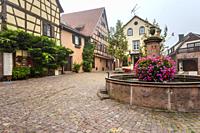 one of many flower-bedecked wells in the village Riquewihr, Alsace Wine Route, France, square of the village.
