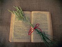 Vintage style. open antique book with dry grass and red thread with burlap background.