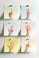 Five colorful Post It messages fixed to the wall with images of fingers indicating numbers and one with the middle finger.
