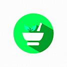 Mortar icon and leaves with shadow on a green circle. Flat color vector pharmacy illustration