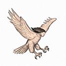 Tattoo style illustration of a harpy, in Greek and Roman, mythology, a female bird with a woman's face swooping looking down viewed from the side set ...