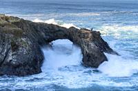Not My Place to Fish Mendocino Coast CA USA.