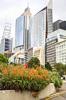 Sydney office towers on Macquarie street in the City centre